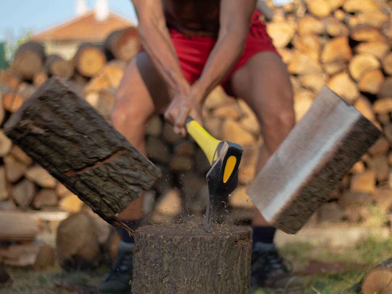 Laurence Harbor, NJ Tree Service Company